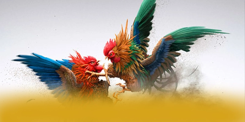 Khám phá BET168 - Cổng game phổ biến nhất hiện nay Khám phá BET168 - Cổng game phổ biến nhất hiện nay