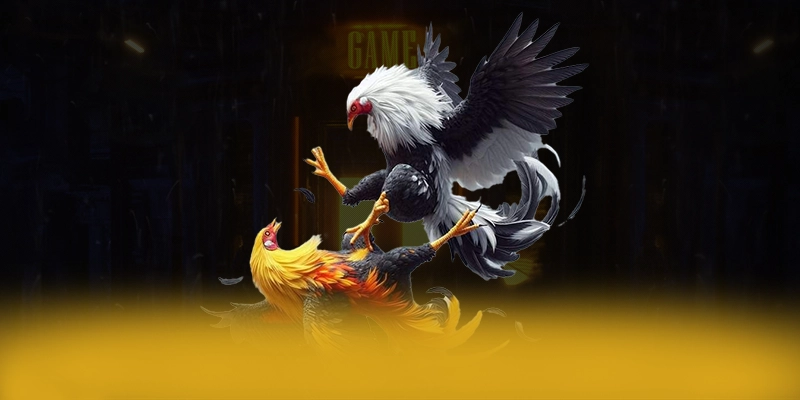 W88 - Cổng game bài đẳng cấp số 1 Việt Nam W88 - Cổng game bài đẳng cấp số 1 Việt Nam